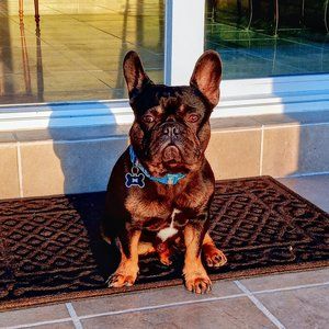 Meet your Posher, Max
